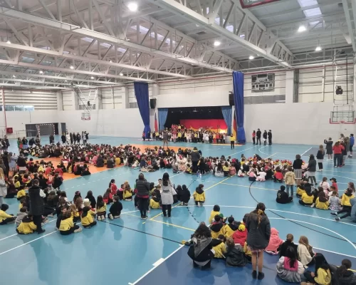 colegio alemán chicureo proceso de admisión